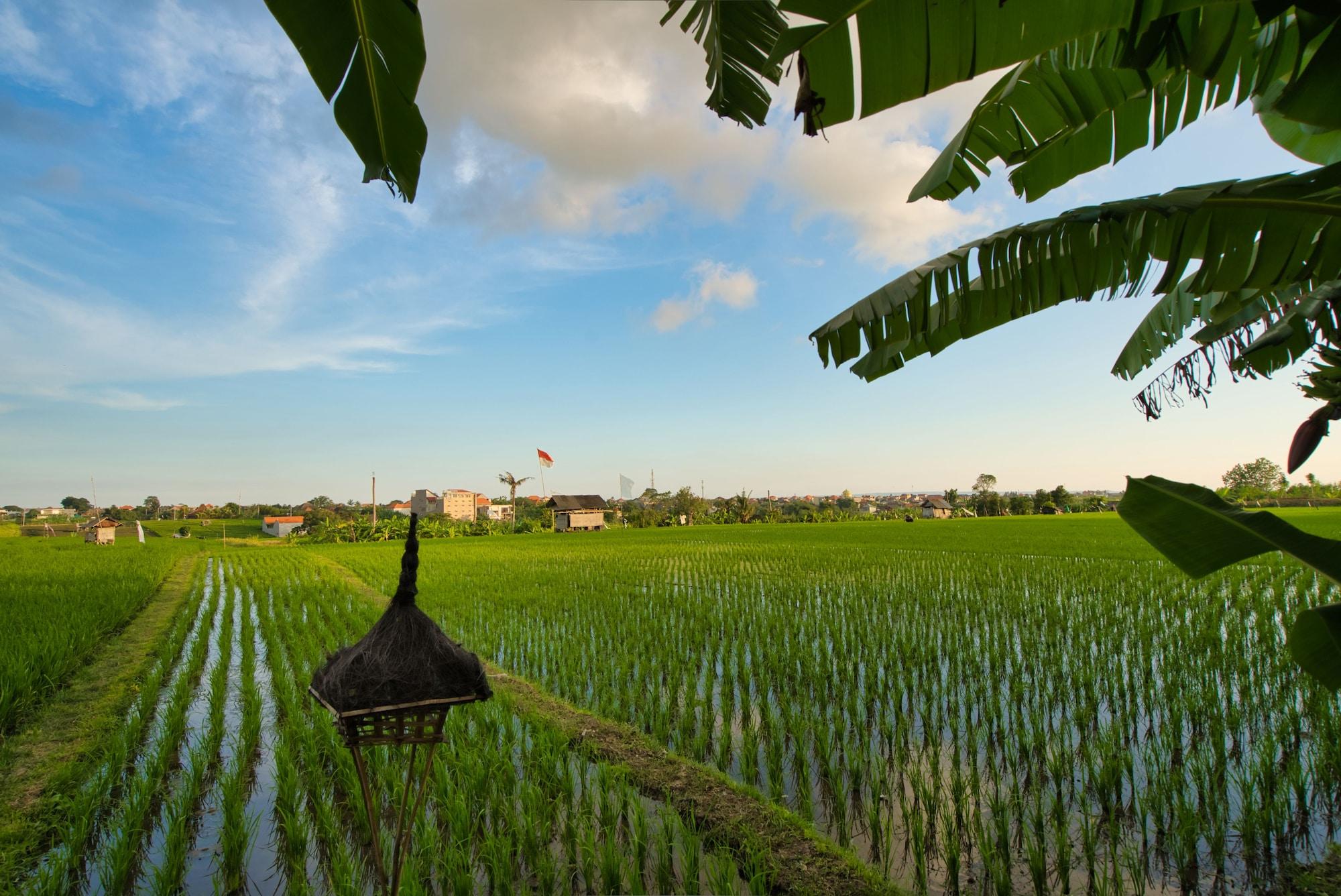 Sotis Villas Canggu Dış mekan fotoğraf